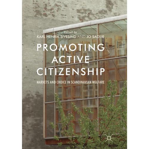 Promoting Active Citizenship, Kartoniert (TB)