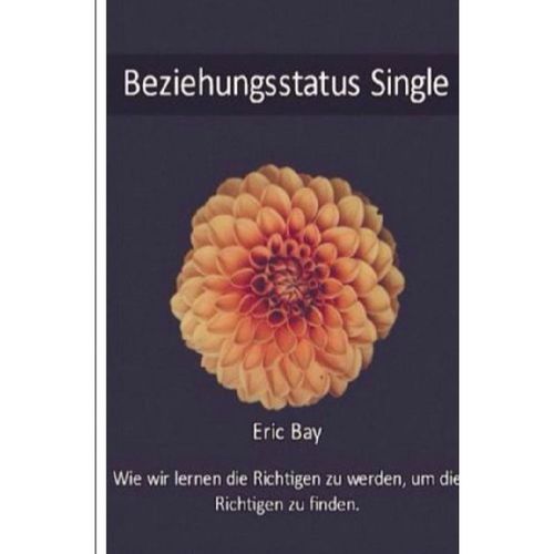 Beziehungsstatus Single - Eric Bay, Kartoniert (TB)