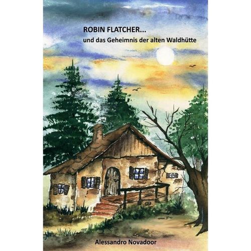 ROBIN FLATCHER... / ROBIN FLATCHER...und das Geheimnis der alten Waldhütte - Alessandro Novadoor, Kartoniert (TB)