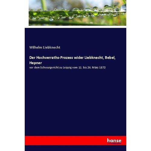 Der Hochverraths-Prozess wider Liebknecht, Bebel, Hepner - Wilhelm Liebknecht, Kartoniert (TB)