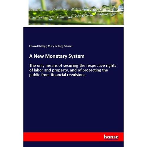 A New Monetary System - Edward Kellogg, Mary Kellogg Putnam, Kartoniert (TB)