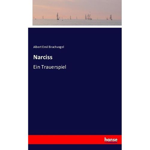 Narciss - Albert Emil Brachvogel, Kartoniert (TB)