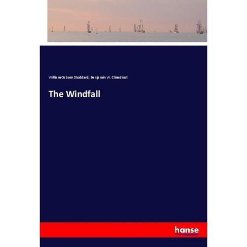 The Windfall - William Osborn Stoddard, Benjamin W. Clinedinst, Kartoniert (TB)