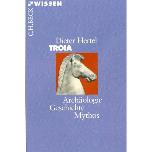 Troia - Dieter Hertel, Taschenbuch