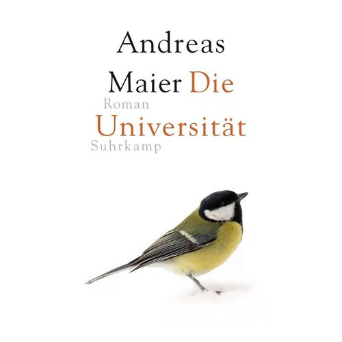 Die Universität - Andreas Maier, Gebunden
