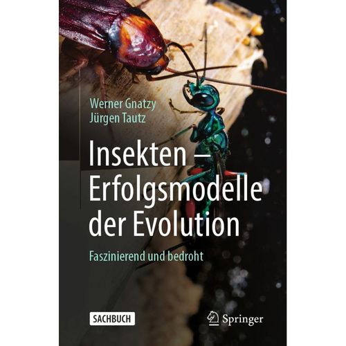 Insekten - Erfolgsmodelle der Evolution - Werner Gnatzy, Jürgen Tautz, Kartoniert (TB)