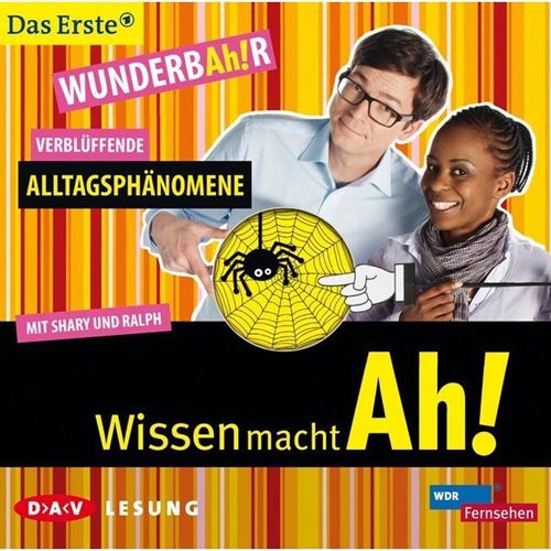 Wissen mach Ah! , Verblüffende Alltagsphänomene,1 Audio-CD - Various (Hörbuch)