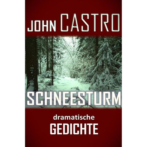 Schneesturm - John Castro, Kartoniert (TB)