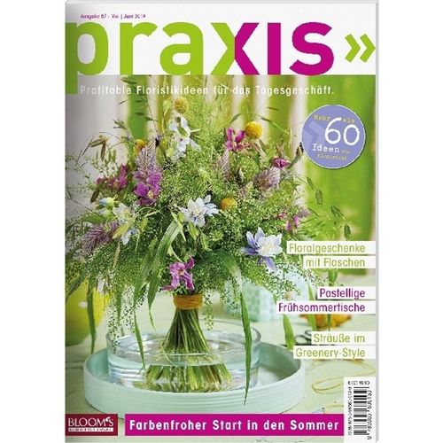 PRAXIS.Nr.87 - Team PRAXIS, Geheftet