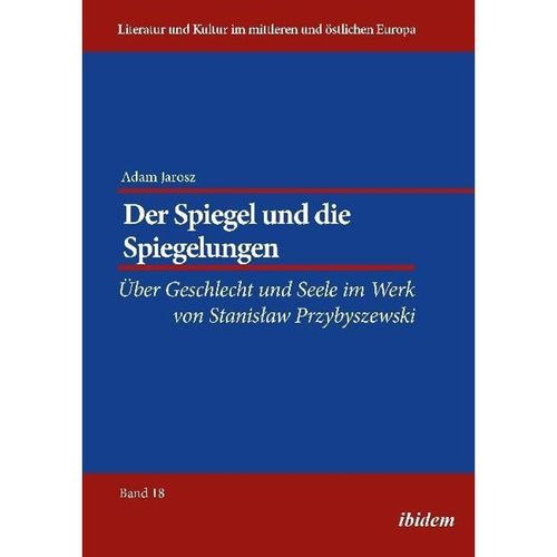 Der Spiegel und die Spiegelungen - Adam Jarosz, Kartoniert (TB)