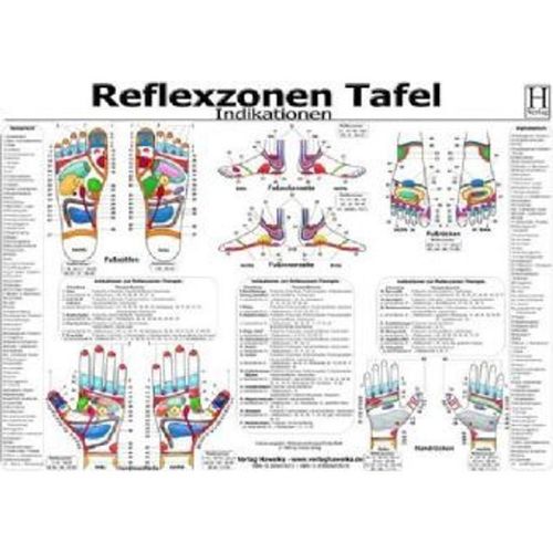 Reflexzonen - Indikationen, Tafel, Poster