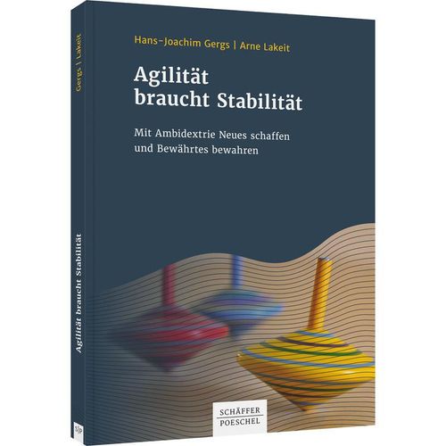Agilität braucht Stabilität - Hans-Joachim Gergs, Arne Lakeit, Kartoniert (TB)