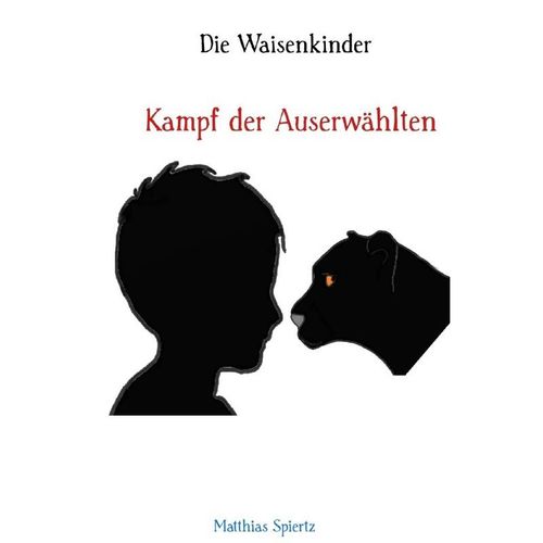 Die Waisenkinder - Matthias Spiertz, Kartoniert (TB)