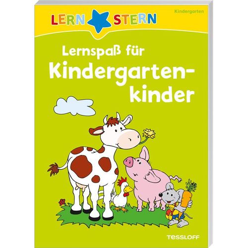 LERNSTERN Lernspaß für Kindergartenkinder, Kartoniert (TB)