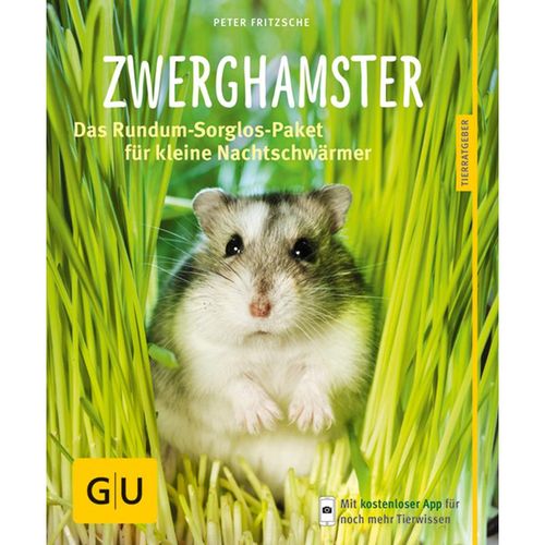 Zwerghamster - Peter Fritzsche, Kartoniert (TB)