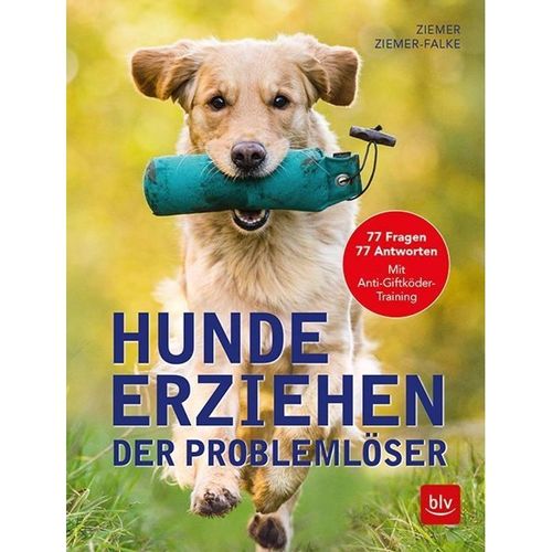 Hunde erziehen. Der Problemlöser - Jörg Ziemer, Kristina Ziemer-Falke, Kartoniert (TB)