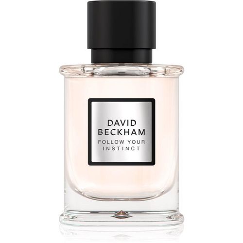 David Beckham Follow Your Instinct Eau de Parfum voor Mannen 50 ml