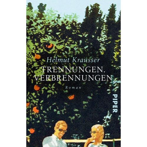 Trennungen. Verbrennungen - Helmut Krausser, Taschenbuch