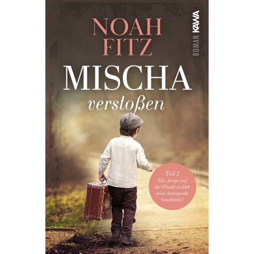 Mischa - verstoßen - Noah Fitz, Kartoniert (TB)