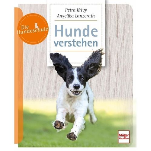 Hunde verstehen - Petra Krivy, Angelika Lanzerath, Kartoniert (TB)