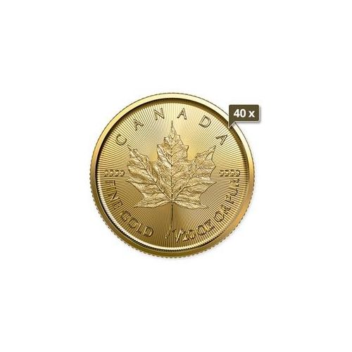 40 x 1/20 Unze Gold Maple Leaf 2022
