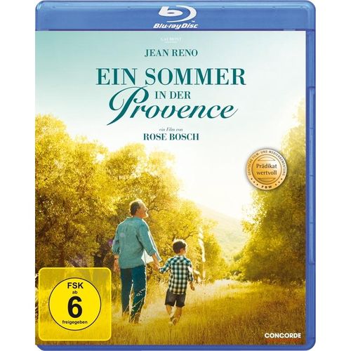 Ein Sommer in der Provence (Blu-ray)