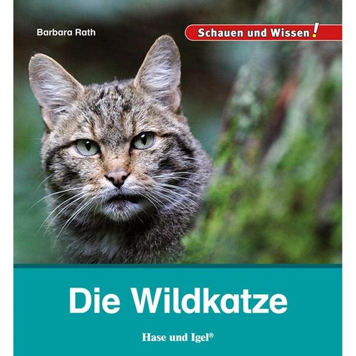 Die Wildkatze - Barbara Rath, Gebunden