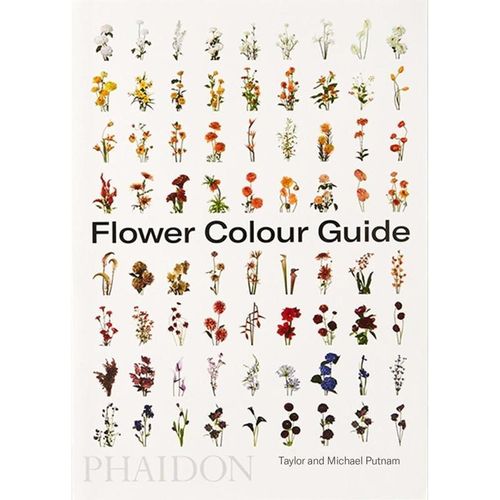 Flower Colour Guide - Darroch Putnam, Michael Putnam, Kartoniert (TB)