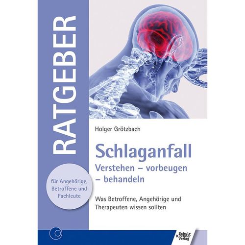 Schlaganfall - Holger Grötzbach, Kartoniert (TB)