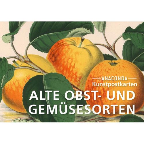 Postkarten-Set Alte Obst- und Gemüsesorten, Kartoniert (TB)