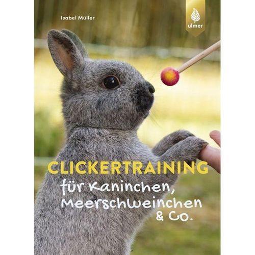 Clickertraining für Kaninchen, Meerschweinchen & Co. - Isabel Müller, Kartoniert (TB)