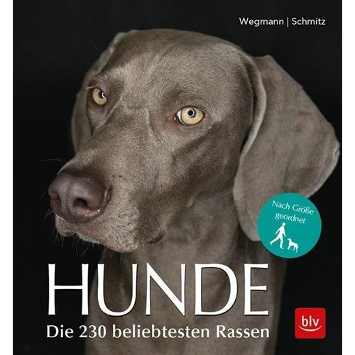 Hunde - Angela Wegmann, Siegfried Schmitz, Kartoniert (TB)