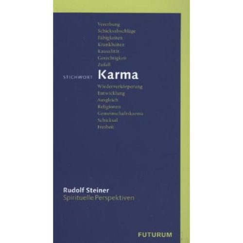 Stichwort Karma - Rudolf Steiner, Kartoniert (TB)