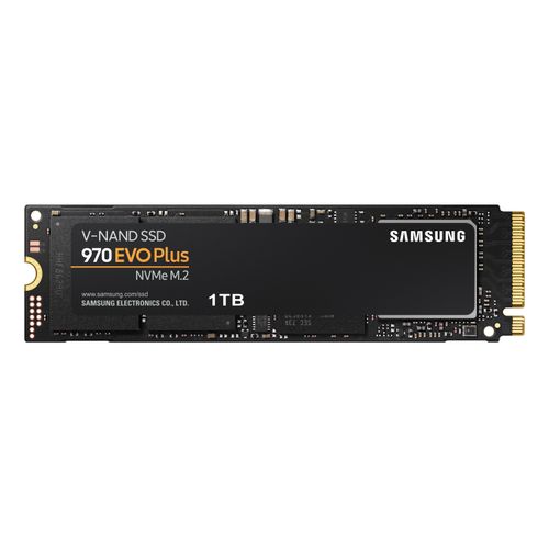 Samsung SSD 970 EVO Plus 250 Go