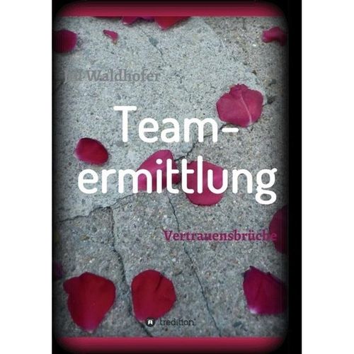 Teamermittlung - Jill Waldhofer, Kartoniert (TB)