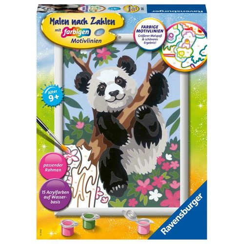 Süße Pandabär, Kartoniert (TB)