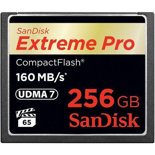 SanDisk Extreme PRO R160/W140 CompactFlash Card 256GB