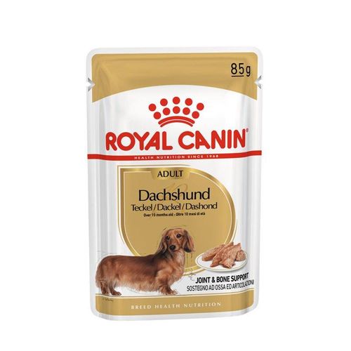 Royal Canin Dachshund Adult Hundefutter nass für Dackel, 12x85g