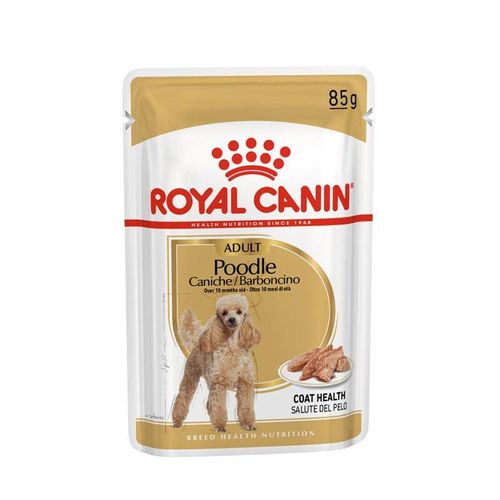 Royal Canin Poodle Adult in Soße Hundefutter nass für Pudel, 12x85g