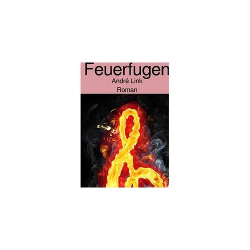 Feuerfugen - André Link Kartoniert (TB)