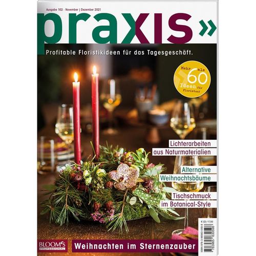 PRAXIS Nr. 102 - Team PRAXIS, Geheftet