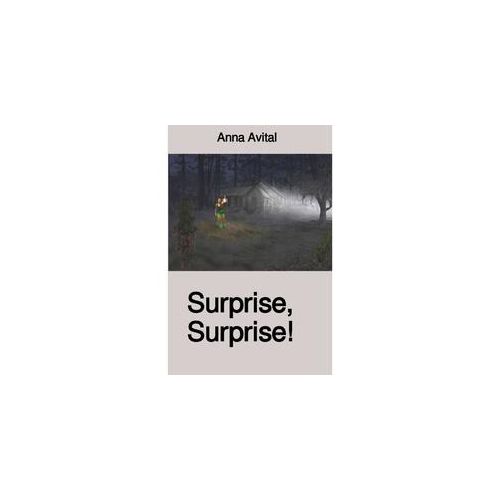 Surprise Surprise! - Anna Avital Kartoniert (TB)