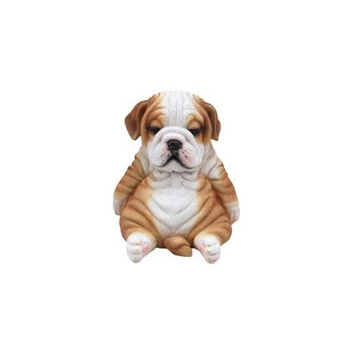 Dekofigur Bulldogge sitzend 17 x 16 x 16 cm braun weiß