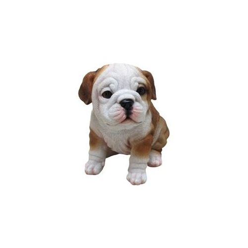 Dekofigur Bulldogge sitzend 17 x 16 x 12 cm weiß braun