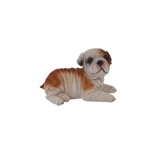 Dekofigur Bulldogge liegend 19 x 12 x 10,5 cm braun weiß