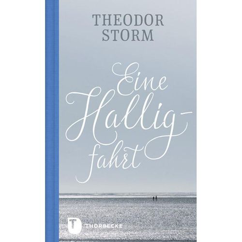 Eine Halligfahrt - Theodor Storm, Gebunden