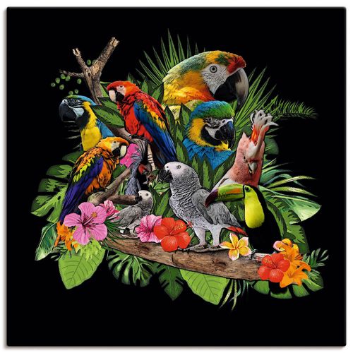 Wandbild ARTLAND "Papageien Graupapagei Kakadu Dschungel" Bilder Gr. B/H: 100 cm x 100 cm, Leinwandbild Vögel quadratisch, 1 St., bunt Kunstdrucke
