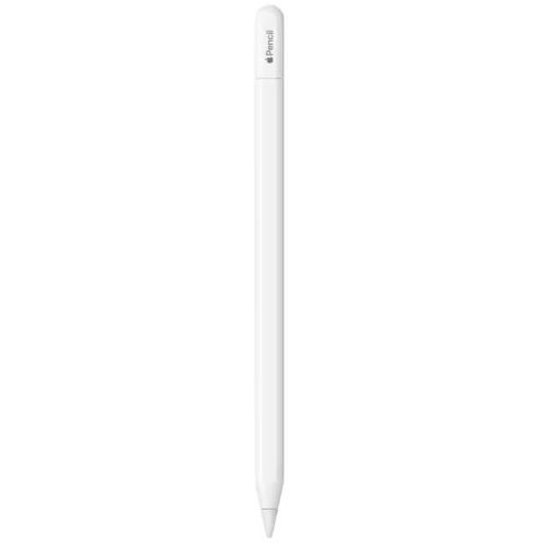 Apple Pencil (USB-C) | Zustand: Neuware in OVP (Zustand: Neu)