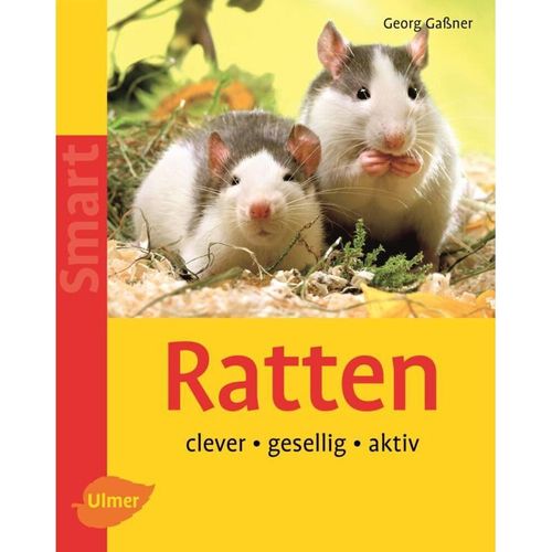 Ratten - Georg Gaßner, Kartoniert (TB)