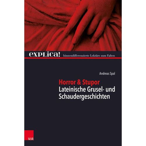 Horror & Stupor - Andreas Spal, Kartoniert (TB)